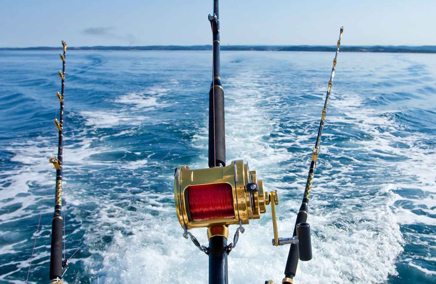 NZ Sport Fishing Council