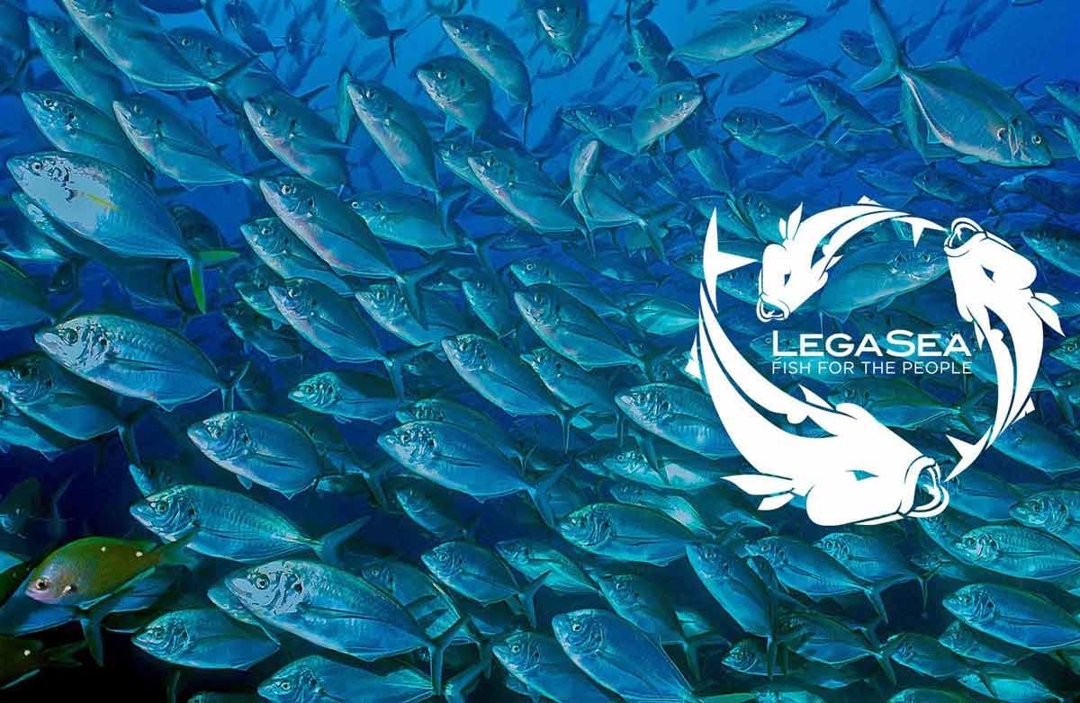 Legasea - fish for the people