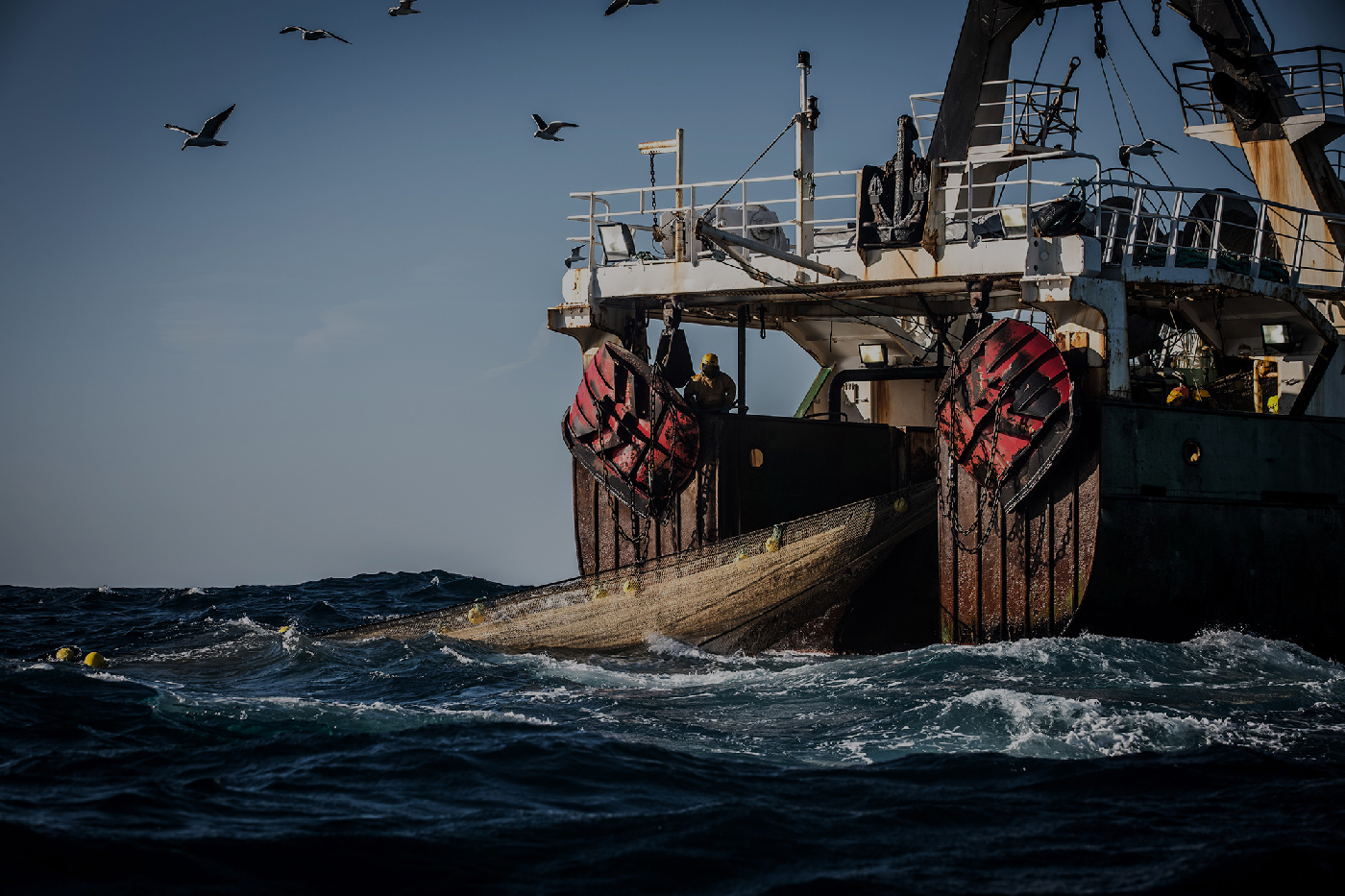 fisheries Reform Scam